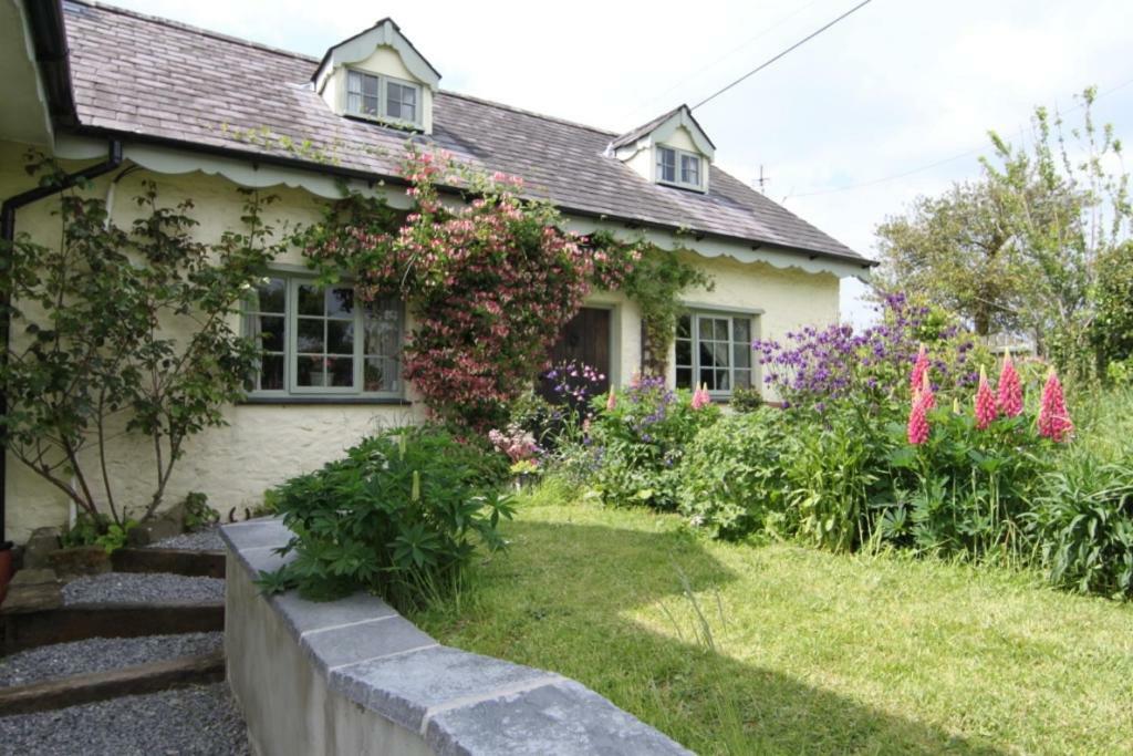 Parc y Brenin Villa Dryslwyn Exterior foto